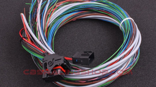 MaxxECU V1/RACE/PRO flying lead wiring harness connector 1