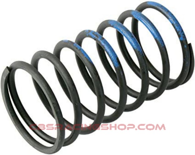 Picture of Gen 4/IWG WG38/40/45/50L 10PSI Outer Spring – Brown/Blue