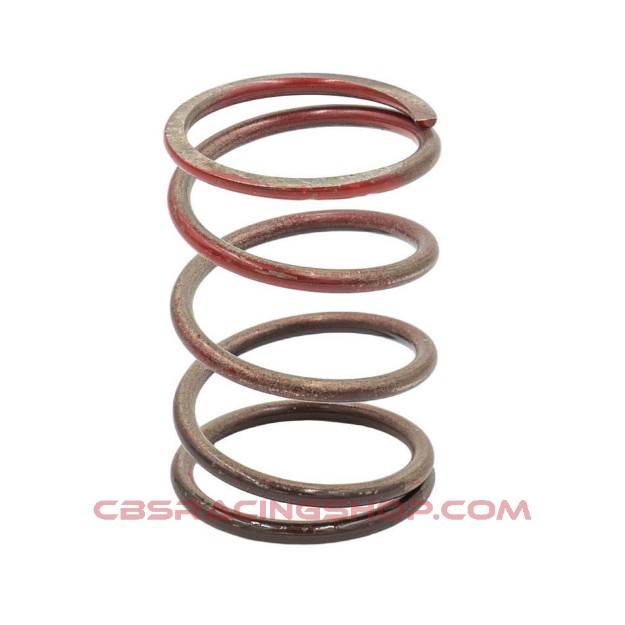 Picture of Gen 4/IWG WG38/40/45/50L 11PSI MIDDLE SPRING – BROWN/RED
