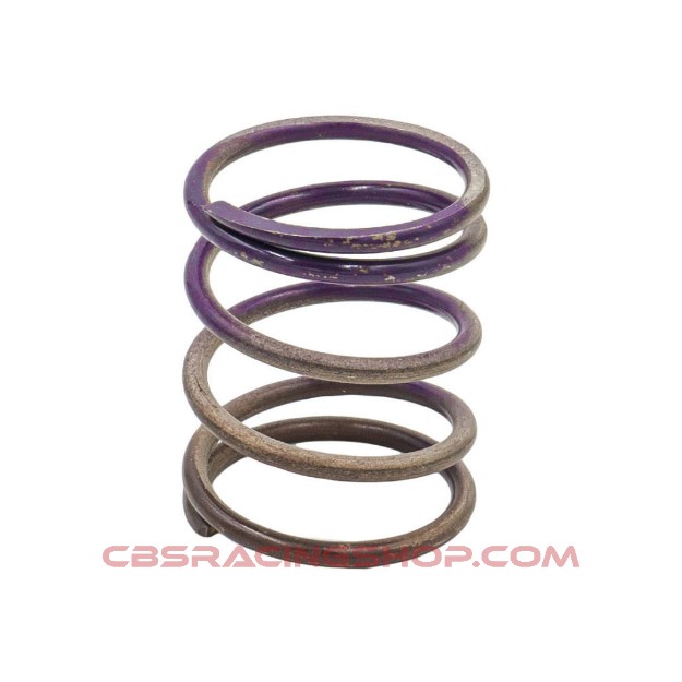 Picture of Gen 4/IWG WG38/40/45/50L 7PSI MIDDLE SPRING – BROWN/PURPLE