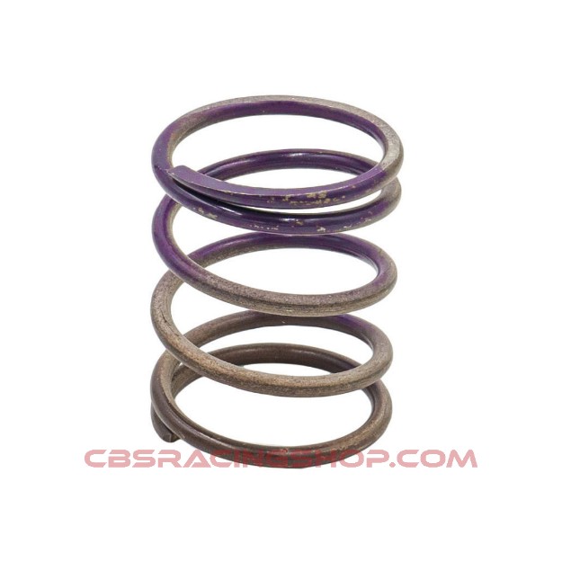 Afbeeldingen van Gen 4/IWG WG38/40/45/50L 7PSI MIDDLE SPRING – BROWN/PURPLE