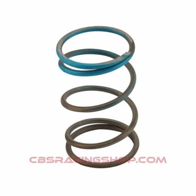 Picture of WG45/50 GENV 14psi Blue Outer Spring