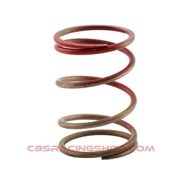 Billede af Gen-V WG38/40 14psi Red Outer Spring