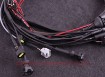 Billede af Volvo T5 - Terminated Engine Harness - MaxxECU