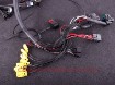 Picture of GM LS GEN III/IV - Terminated Engine Harness including MaxxECU RACE kit- MaxxECU
