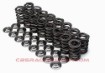Picture of 2JZ Valve Spring & Retainer Spring Kit - Brian Crower