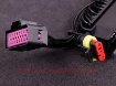 Billede af Audi AAN Plugin adapter - MaxxECU