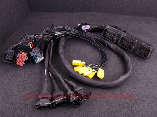 Bild von Mustang GT V8 2011 E-Throttle MaxxECU PRO adapter harness - MaxxECU