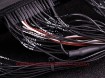 Picture of Mustang GT V8 2011 E-Throttle MaxxECU PRO adapter harness - MaxxECU