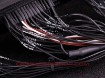 Image de Mustang GT V8 2011 E-Throttle MaxxECU PRO adapter harness - MaxxECU