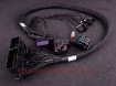 Afbeeldingen van Ford Focus RS 2010 (ME 9.0) MaxxECU Race adapter harness - MaxxECU