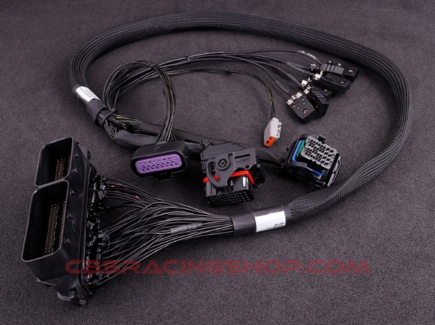 Image de Ford Focus RS 2010 (ME 9.0) MaxxECU Race adapter harness - MaxxECU