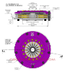 Bild von 200mm Rigid Ceramic Twin Plate Clutch Kit Incl Flywheel 1200Nm - Xtreme Performance