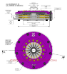 Picture of 200mm Rigid Ceramic Twin Plate Clutch Kit Incl Flywheel 1200Nm - Xtreme Performance