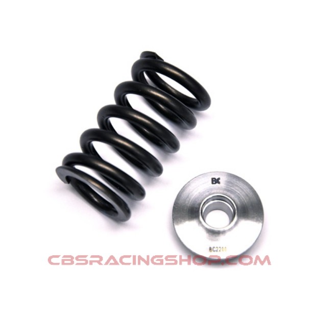 Afbeeldingen van SR20DE(T) Valve Spring & Retainer Spring Kit - Brian Crower