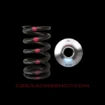 Afbeeldingen van SR20DE(T) Valve Spring & Retainer Spring Kit - Brian Crower