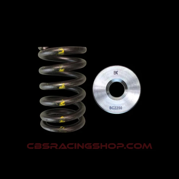 Afbeeldingen van Nissan TB48 - SINGLE SPRING/TITANIUM RETAINER KIT - Brian Crower