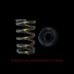 Bild von 3SGTE Valve Spring & Retainer Spring Kit - Brian Crower