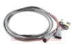 Picture of 50cm - 9006 extension cables - Aharon
