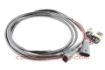 Bild von 50cm - 9006 extension cables - Aharon