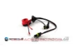 Afbeeldingen van H1/H7 to D2S adapter cable - Aharon