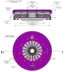 Picture of Xtreme Clutch Conversion kit - TOYOTA JZ - TOYOTA R154 21x29mm - Xtreme Performance