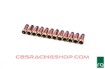 Picture of Fuel Injector Screen, 12 Pieces - Radium