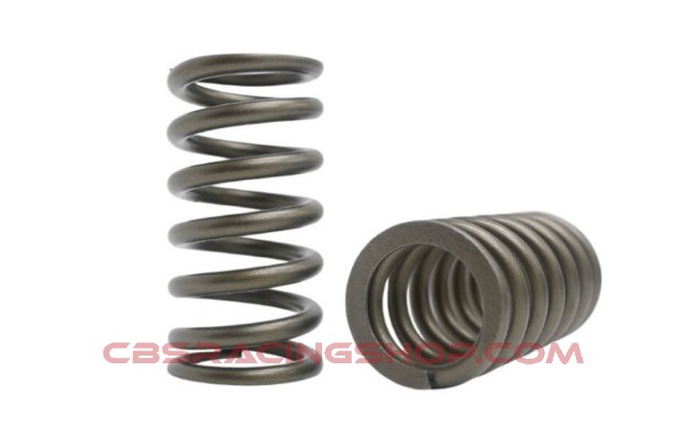 Afbeeldingen van (KVS929) Toyota Altezza Beams engine Valve Spring Set - Kelford Cams