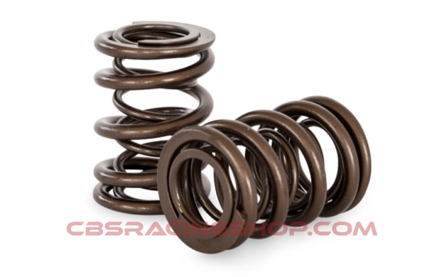 Bild von Nissan RB30E SOHC Dual Spring Set - Kelford Cams