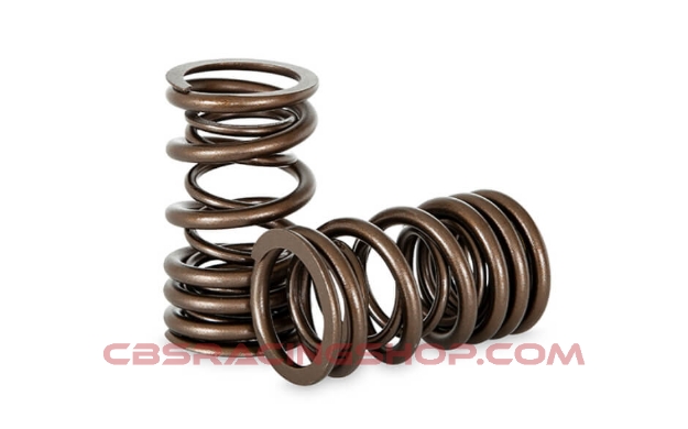 Bild von Nissan A Series Dual Valve Spring Set - Kelford Cams