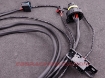 Picture of MaxxECU 8HP (GEN1) cable harness (BMW 8HP shifter) - MaxxEcu