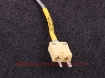 Picture of EGT CHT (12mm) 3.6m - MaxxEcu