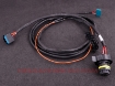 Image de MaxxECU BMW M4 DCT (GS7D36SG) cable harness - MaxxEcu