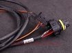 Image de MaxxECU BMW M4 DCT (GS7D36SG) cable harness - MaxxEcu