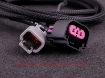 Bild von MaxxECU Plugin-ECU flex fuel cable - MaxxEcu