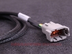 Bild von MaxxECU WBO cable 2.5m - MaxxEcu