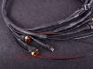 Picture of Terminated engine harness - GM LS GEN III/IV - MaxxEcu