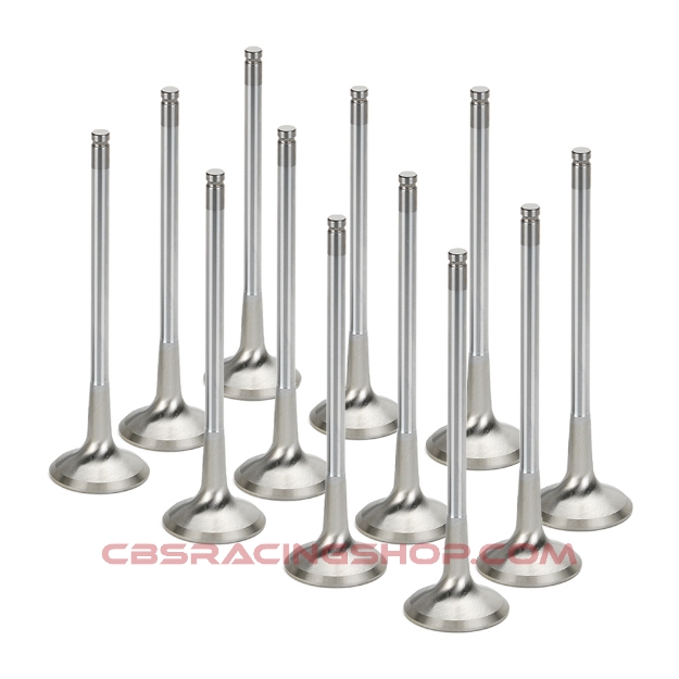 Billede af Toyota Supra 2JZGTE Inconel Exhaust Valve - Set of 12 - Supertech